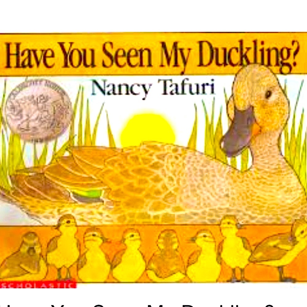 🌻4/$20 Have You Seen My Duckling? book By Nancy Tafuri